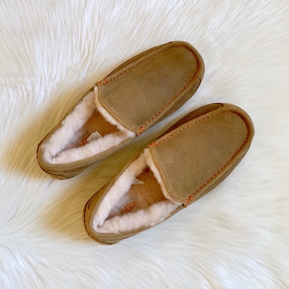 UGG Ascot Suede Loafer Slippers - Picture 2 of 7